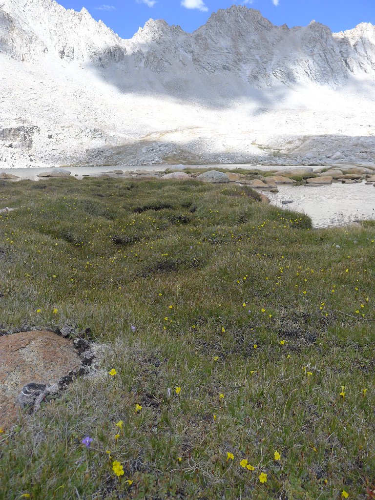 SouthernSierra 244